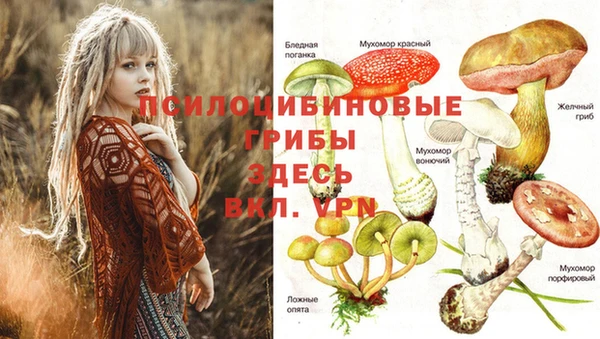 бутират Белоозёрский