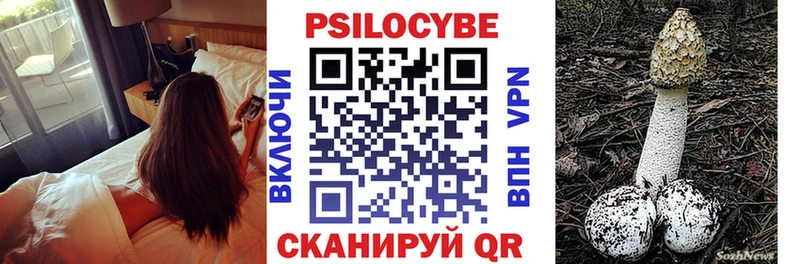 даркнет как зайти  Свирск  Псилоцибиновые грибы Psilocybe  наркота  MEGA tor 